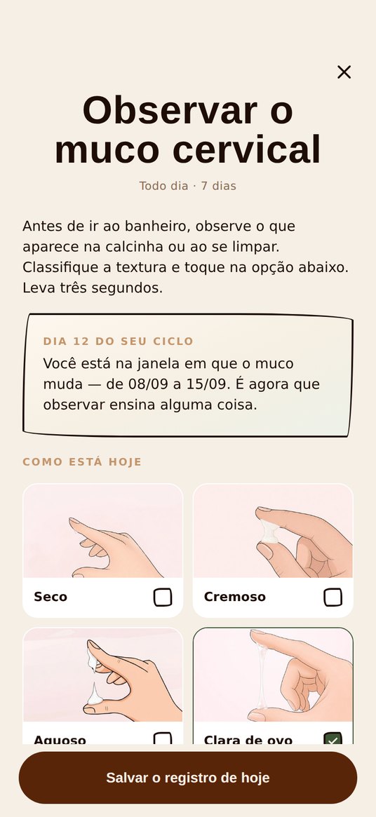 A segunda tela da ação: fundo claro, com as quatro texturas em fotos e a faixa dos sete dias